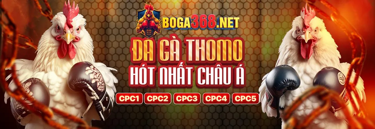 Sân Đá Gà Trực Tuyến 69vn15